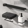Вешалка для полотенец AM.PM Inspire V2.0 поворотная двойная Черный / A50A32622
